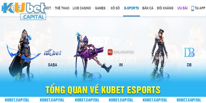 Thông tin giới thiệu tổng quan về Kubet Esports