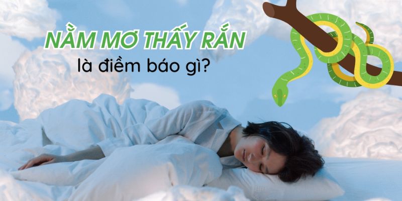 Nằm mơ thấy rắn cắn mang ý nghĩa không tích cực